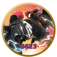6623